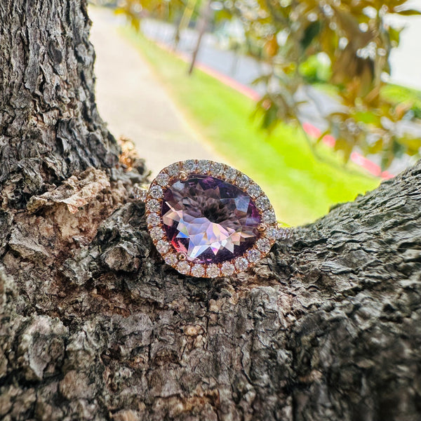 Amethyst Oasis Collection